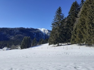 Feldbergblick